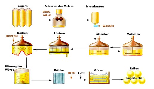 Klicken Sie die einzelnen Prozesse an ...
